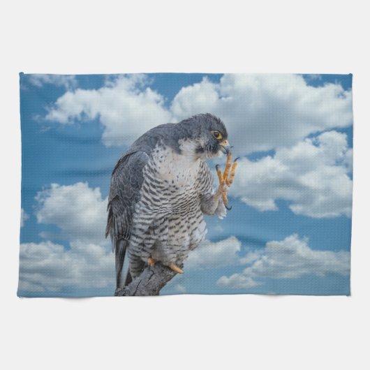Peregrine Falcon langs de Hudson rivier Theedoek (Horizontaal)