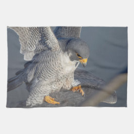 Peregrine Falcon langs de Hudson rivier Theedoek