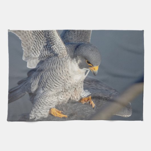 Peregrine Falcon langs de Hudson rivier Theedoek (Horizontaal)