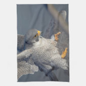 Peregrine Falcon langs de Hudson rivier Theedoek (Verticaal)