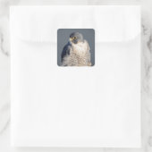 Peregrine Falcon langs de Hudson rivier Vierkante Sticker (Tas)