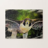 Peregrine Falcon Legpuzzel (Horizontaal)