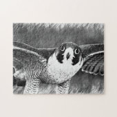 Peregrine Falcon Legpuzzel (Horizontaal)