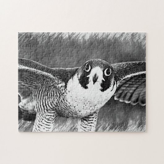 Peregrine Falcon Legpuzzel (Horizontaal)