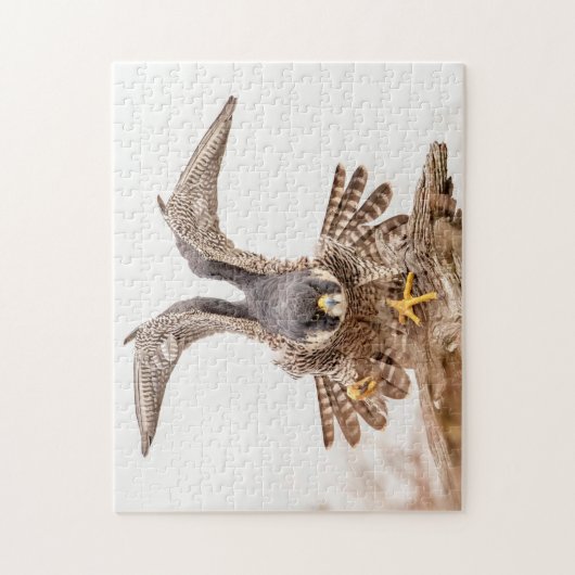 Peregrine Falcon Legpuzzel (Verticaal)