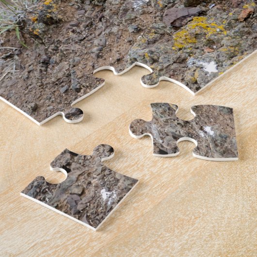 Peregrine falcon legpuzzel (Zijkant)