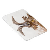 Peregrine Falcon Magneet (Rechterzijde)