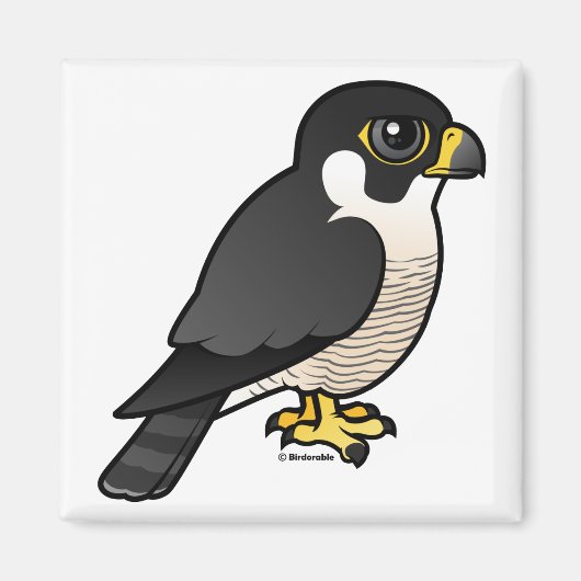 Peregrine Falcon Magneet (Voorkant)