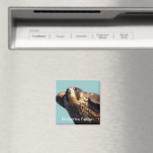 Peregrine Falcon Magnet (Insitu (Vaatwasser))