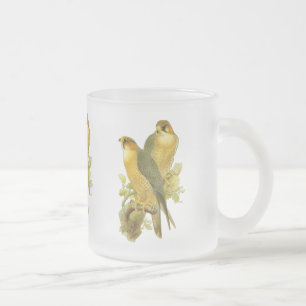 Peregrine Falcon Matglas Koffiemok