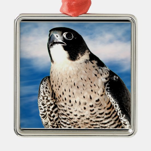 Peregrine Falcon Metalen Ornament (Voorkant)