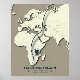 Peregrine Falcon Migration Map – Minimalistisch Poster