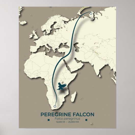 Peregrine Falcon Migration Map – Minimalistisch Poster (Voorkant)
