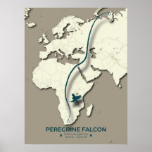 Peregrine Falcon Migration Map – Minimalistisch