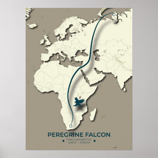 Peregrine Falcon Migration Map – Minimalistisch Poster (Voorkant)
