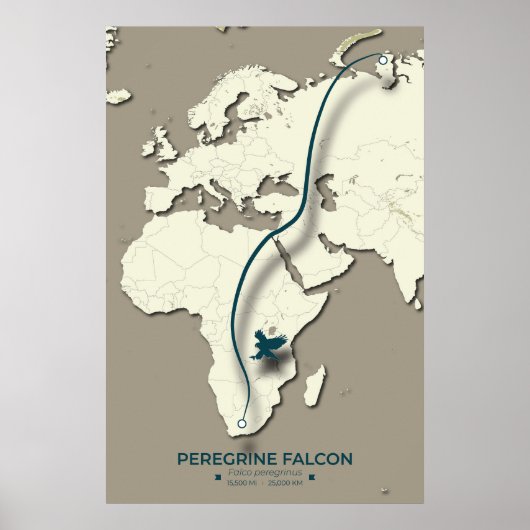 Peregrine Falcon Migration Map – Minimalistisch Poster (Voorkant)