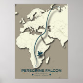 Peregrine Falcon Migration Map – Minimalistisch Poster (Voorkant)