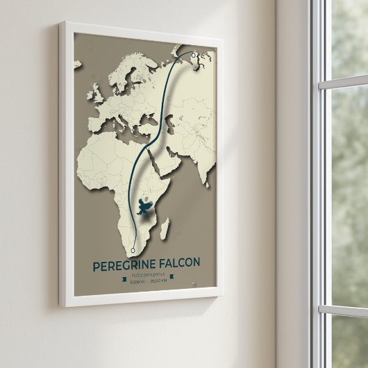Peregrine Falcon Migration Map – Minimalistisch Poster