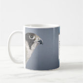Peregrine Falcon-Mok Koffiemok (Links)