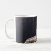 Peregrine Falcon-Mok Koffiemok (Links)