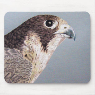 Peregrine Falcon Muismat