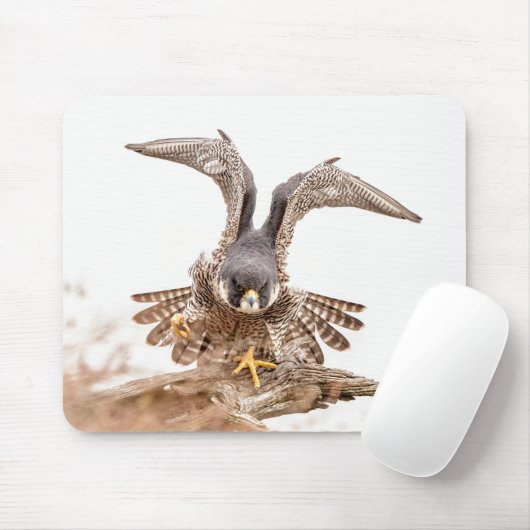 Peregrine Falcon Muismat (Met muis)