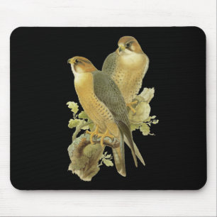 Peregrine Falcon Muismat