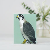 Peregrine Falcon - Natuur Wildlife Bird Art Card Briefkaart (Staand voorkant)