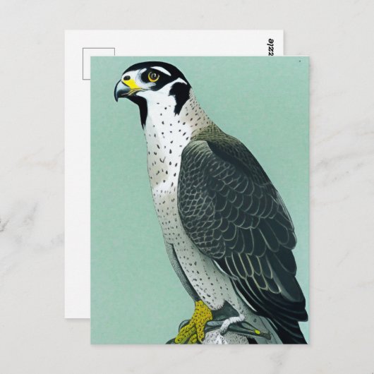 Peregrine Falcon - Natuur Wildlife Bird Art Card Briefkaart (Voorkant / Achterkant)