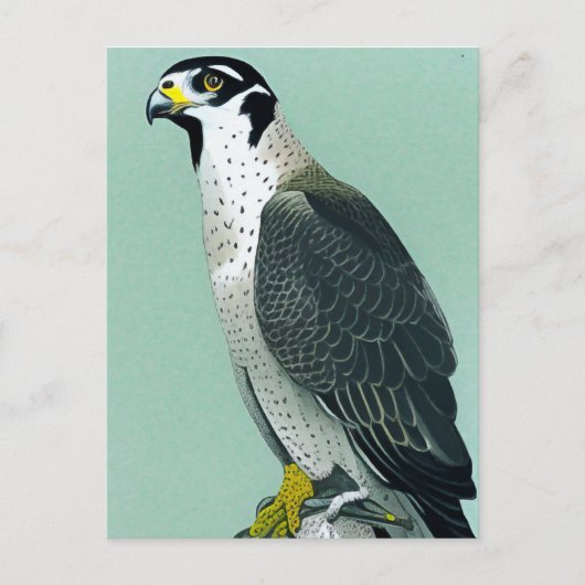 Peregrine Falcon - Natuur Wildlife Bird Art Card Briefkaart (Voorkant)