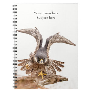 Peregrine Falcon Notitieboek