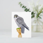 Peregrine Falcon on block briefkaart (Staand voorkant)