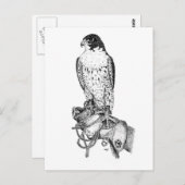 Peregrine Falcon on block briefkaart (Voorkant / Achterkant)