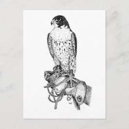 Peregrine Falcon on block briefkaart