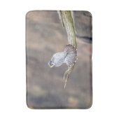 Peregrine Falcon op het Palisades Interstate Park Badmat (Voorkant Verticaal)