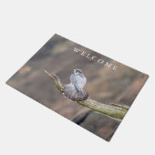 Peregrine Falcon op het Palisades Interstate Park Deurmat (Schuin)