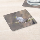 Peregrine Falcon op het Palisades Interstate Park Kartonnen Onderzetters (Schuin)