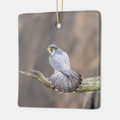 Peregrine Falcon op het Palisades Interstate Park Keramisch Ornament (Links)