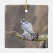 Peregrine Falcon op het Palisades Interstate Park Keramisch Ornament (Achterkant)