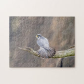 Peregrine Falcon op het Palisades Interstate Park Legpuzzel (Horizontaal)
