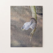 Peregrine Falcon op het Palisades Interstate Park Legpuzzel (Verticaal)