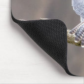 Peregrine Falcon op het Palisades Interstate Park Muismat (Hoek)