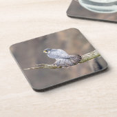 Peregrine Falcon op het Palisades Interstate Park Onderzetter (Linkerzijde)