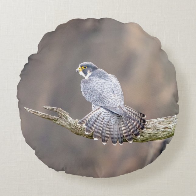 Peregrine Falcon op het Palisades Interstate Park Rond Kussen (Voorkant)