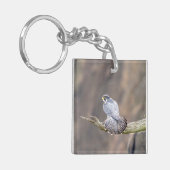 Peregrine Falcon op het Palisades Interstate Park Sleutelhanger (Voorkant Links)