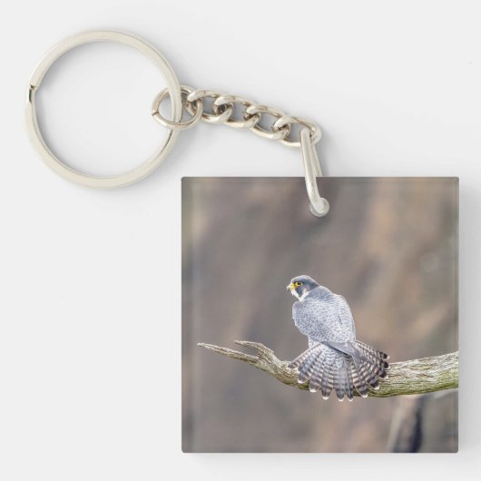 Peregrine Falcon op het Palisades Interstate Park Sleutelhanger (Voorkant)