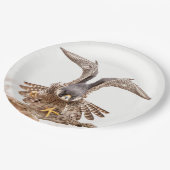 Peregrine Falcon Papieren Bordje (Gekanteld)