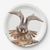 Peregrine Falcon Papieren Bordje (Voorkant)
