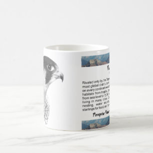 Peregrine Falcon-Pencil Koffiemok