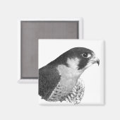 Peregrine Falcon-Pencil Magneet (Voorkant / Achterkant)